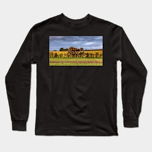 Autumn 2020 Long Sleeve T-Shirt